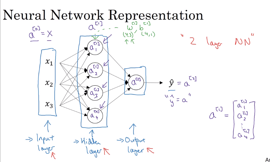 Neural Network Representation