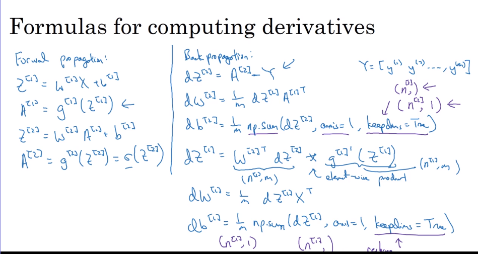 backward propagation